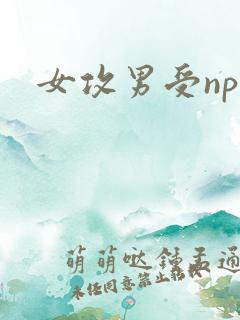 女攻男受np