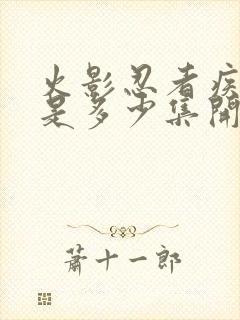 火影忍者疾风传是多少集开始