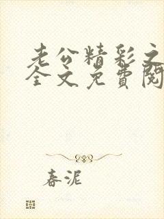 老公精彩之番外全文免费阅读