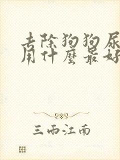 去除狗狗尿骚味用什么最好