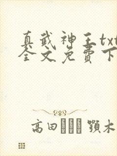 真武神王txt全文免费下载