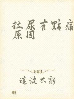 拉尿有点痛什么原因