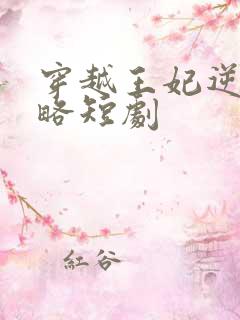 穿越王妃逆袭攻略短剧