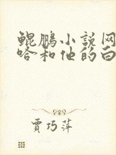 鲲鹏小说网站二哈和他的白猫师尊