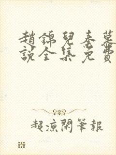 赵锦儿秦慕修小说全集免费阅读最新