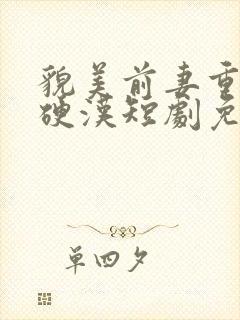 貌美前妻重生嫁硬汉短剧免费观看