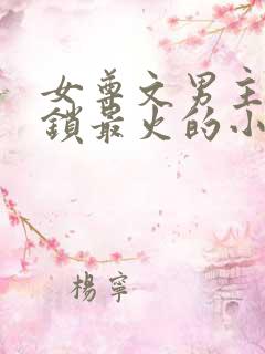 女尊文男主戴贞锁最火的小说