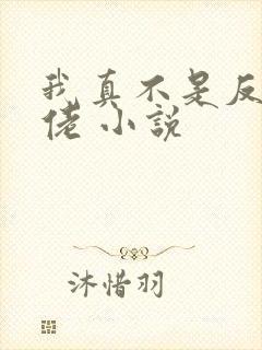 我真不是反派大佬 小说