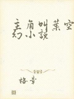 主角叫叶空的玄幻小说