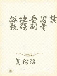 总攻受囚禁攻调教强制爱