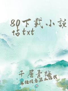 80下载小说网站txt