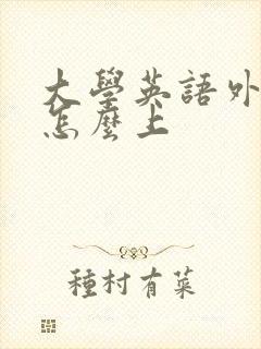 大学英语外教课怎么上