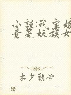 小说:我家娘子竟是妖族女帝