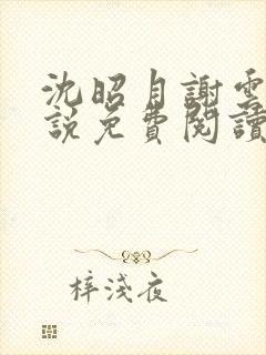 沈昭月谢云湛小说免费阅读最新章节