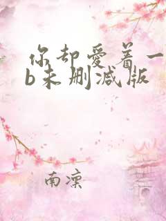 你却爱着一个sb未删减版