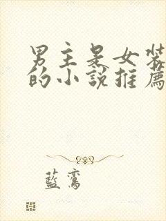 男主是女装大佬的小说推荐