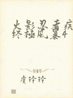 火影忍者疾风传终极风暴4