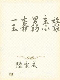 一本男主姓萧是王爷的小说