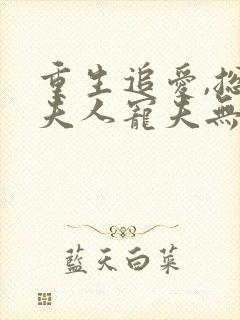 重生追爱,总裁夫人宠夫无度