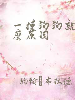 一摸狗狗就尿什么原因