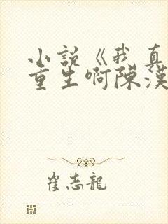 小说《我真没想重生啊陈汉升》