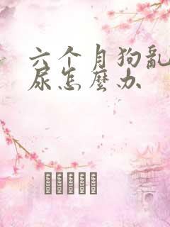 六个月狗乱拉乱尿怎么办