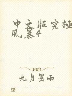 中文版究极忍者风暴4