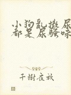 小狗乱撒尿房里都是尿骚味怎么办