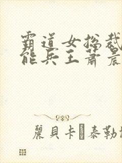 霸道女总裁的全能兵王萧晨