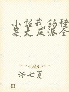 小说我的徒弟都是大反派全文阅读