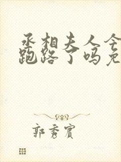 丞相夫人今天又跑路了吗免费阅读