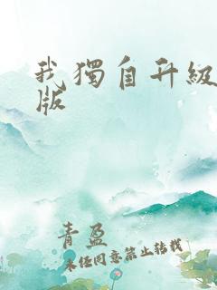 我独自升级国语版