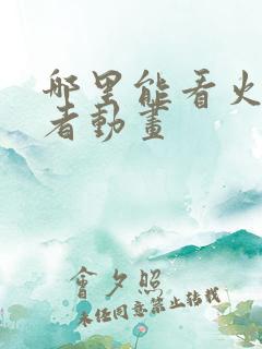 哪里能看火影忍者动画