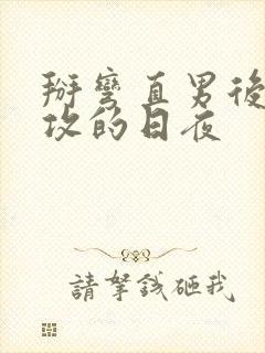 掰弯直男后被反攻的日夜