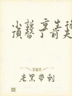 小说 重生后我顶替了前夫白月光