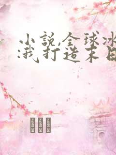 小说,全球冰封:我打造末日安全所