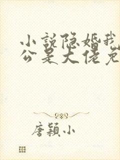 小说隐婚我的老公是大佬免费阅读