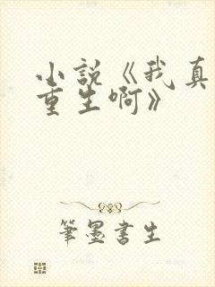 小说《我真没想重生啊》