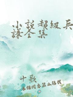 小说超级兵王叶谦全集