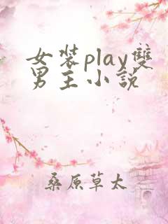 女装play双男主小说