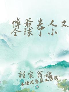 傅爷夫人又惊艳全球了小