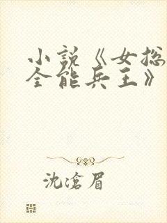小说《女总裁的全能兵王》