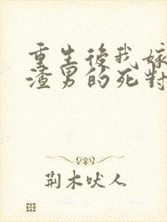 重生后我嫁给了渣男的死对头原著