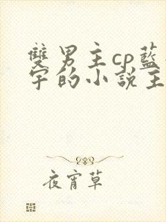 双男主cp蓝轩宇的小说主受文推荐