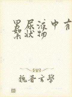 男尿液中有白色絮状物