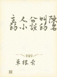 主人公叫陈小凡的小说的名字