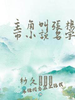 主角叫张杨的都市小说名字