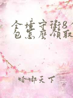 全境守卫8个礼包怎么领取