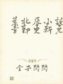 叶北辰小说最新章节更新免费阅读