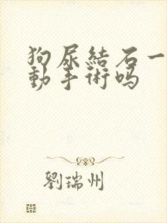 狗尿结石一定要动手术吗